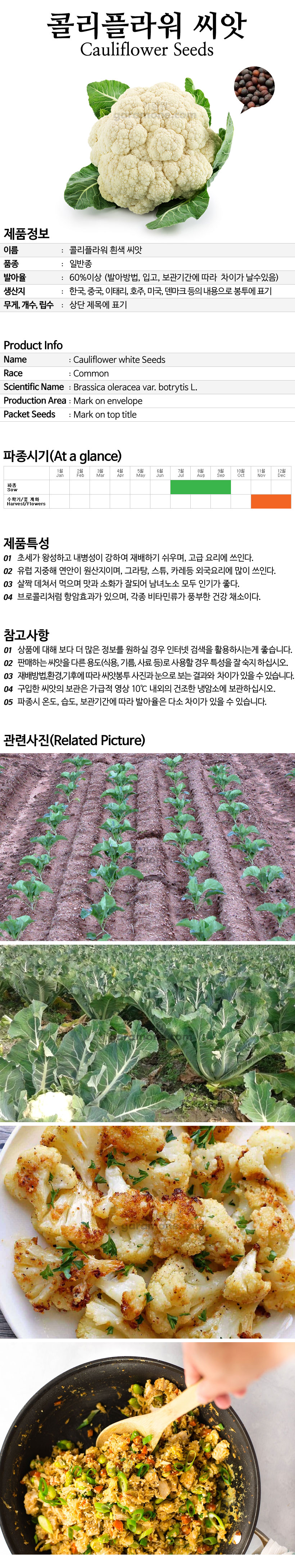 컬리플라워씨앗 콜리플라워씨앗 꽃양배추