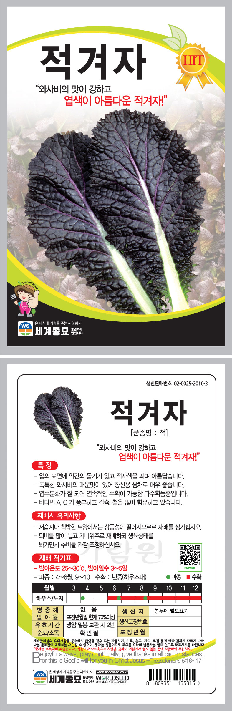 적겨자 적겨자씨앗 겨자씨앗 겨자 씨앗 ( purple mustard seed 2000알 )씨앗판매 쇼핑몰