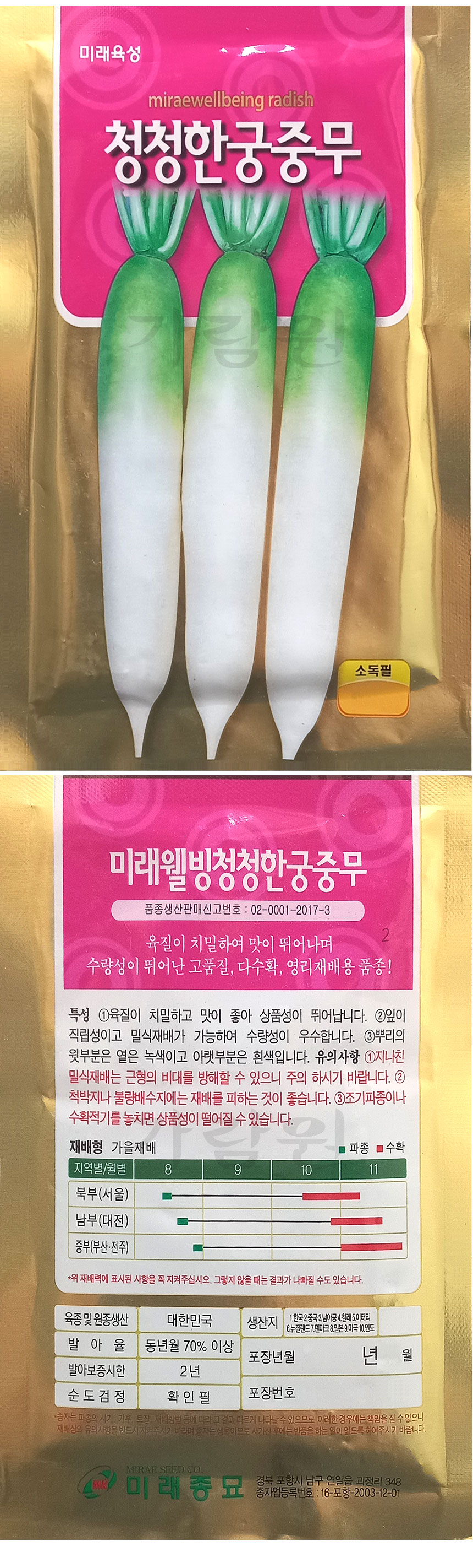 청청한 궁중무 씨앗 무우 종자 김장 가을 단무지 무씨 30g씨앗판매 쇼핑몰
